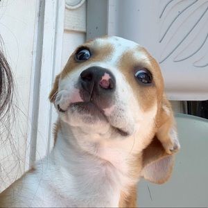 Meet your Posher, Noelly